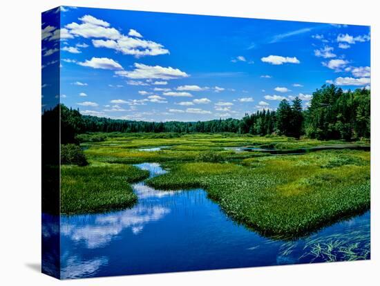 View of the Middle Branch Moose River, Adirondack Mountains, New York State, USA-null-Premier Image Canvas