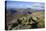 View of the Northern Mountains from the top of Goatfell, Isle of Arran, North Ayrshire, Scotland, U-Gary Cook-Premier Image Canvas