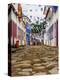 View of the Old Town, Paraty, State of Rio de Janeiro, Brazil, South America-Karol Kozlowski-Premier Image Canvas