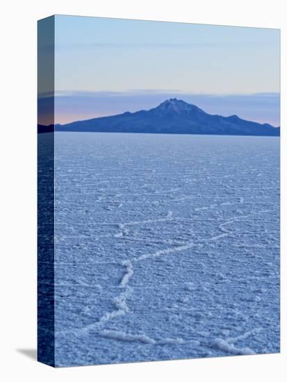 View of the Salar de Uyuni, the largest salt flat in the world, at sunrise, Daniel Campos Province,-Karol Kozlowski-Premier Image Canvas