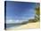 View of the Unspoilt Beach at Palm Paradise Cabanas, Tangalle, South Coast, Sri Lanka, Asia-Peter Barritt-Premier Image Canvas