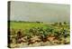 View of the Vineyards, 1880-Henri de Toulouse-Lautrec-Premier Image Canvas