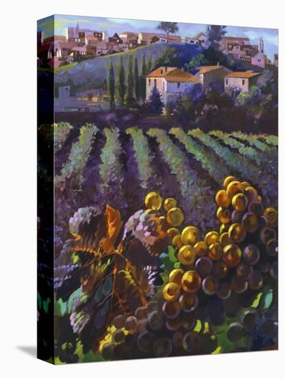 View of Tuscany-Clif Hadfield-Stretched Canvas