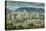 View of Vancouver skyline as viewed from Mount Pleasant District, Vancouver, British Columbia, Cana-Frank Fell-Premier Image Canvas