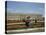 View of Versailles Park Side (Shooting in the 80S)-null-Premier Image Canvas