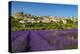 View of Village of Saignon with Field of Lavander in Bloom, Provence, France-Stefano Politi Markovina-Premier Image Canvas