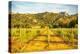 View of vineyard and mountainous background near Arzachena, Sardinia, Italy, Mediterranean, Europe-Frank Fell-Premier Image Canvas