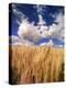 View of Wheat Field, Palouse, Washington State, USA-Stuart Westmorland-Premier Image Canvas