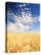 View of Wheat Field, Palouse, Washington State, USA-Stuart Westmorland-Premier Image Canvas