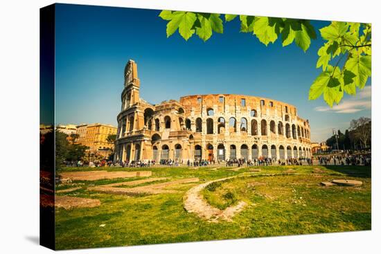 View on Colosseum in Rome, Italy-sborisov-Premier Image Canvas