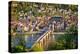 View on Heidelberg at Spring, Germany-sborisov-Premier Image Canvas