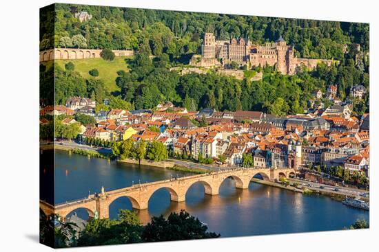 View on Heidelberg, Germany-sborisov-Premier Image Canvas