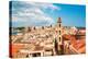 View on Naples Old Town under Blue Sky. Italy-dmitry kushch-Premier Image Canvas