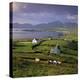 View over Allihies and Ballydonegan Bay, Beara Peninsula, County Cork, Munster, Republic of Ireland-Stuart Black-Premier Image Canvas