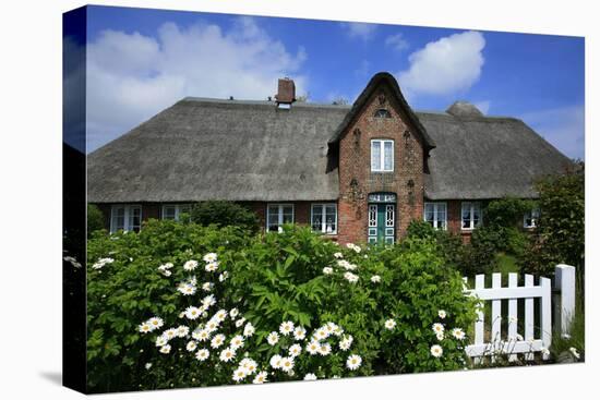 View over Garden Gate and Hedge with Flowering Oxeye Daisies-Uwe Steffens-Premier Image Canvas