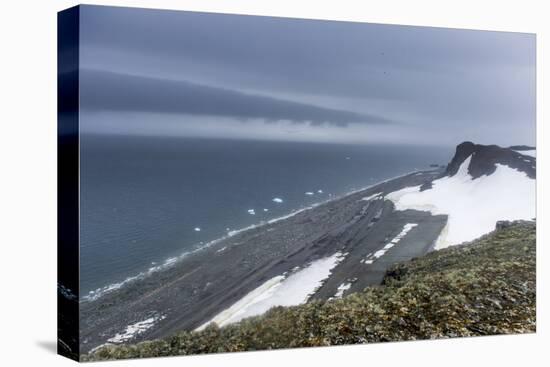 View over Half Moon Island, South Shetland Islands, Antarctica, Polar Regions-Michael Runkel-Premier Image Canvas