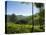 View over Tea Plantations, Near Munnar, Kerala, India, Asia-Stuart Black-Premier Image Canvas