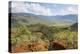 View over the Blue River Provincial Park, Yate, New Caledonia, Pacific-Michael Runkel-Premier Image Canvas