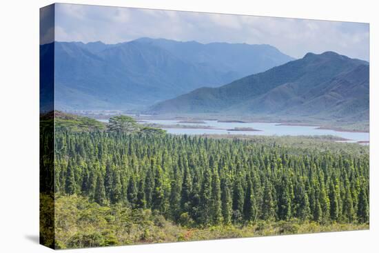 View over the Blue River Provincial Park, Yate, New Caledonia, Pacific-Michael Runkel-Premier Image Canvas