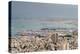 View over the city and port, Haifa, Israel, Middle East-Alexandre Rotenberg-Premier Image Canvas