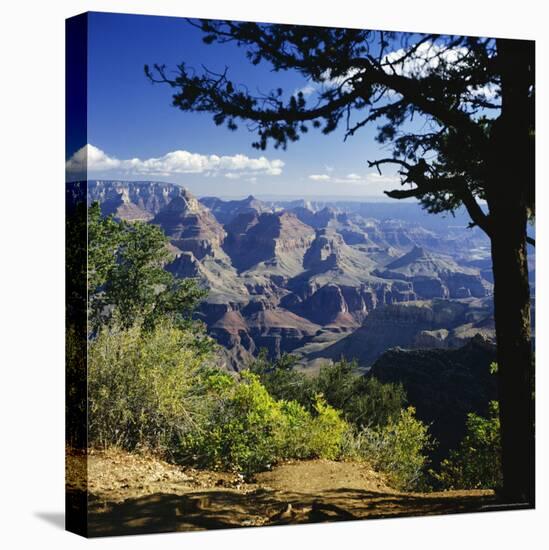 View Over the Grand Canyon, Unesco World Heritage Site, Arizona, United States of America (USA)-G Richardson-Premier Image Canvas