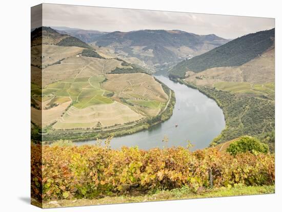 View over the River Duoro in autumn, Portugal, Europe-Jean Brooks-Premier Image Canvas