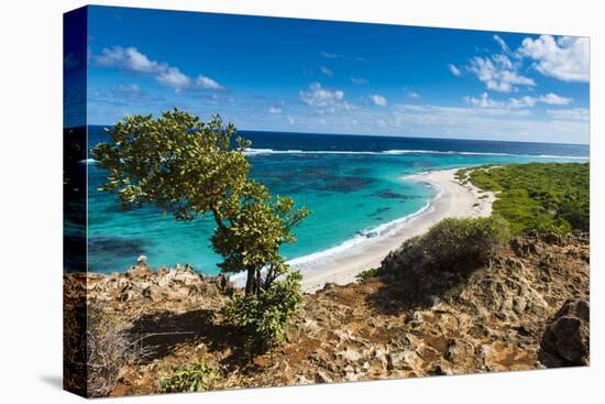 View over the Turquoise Waters of Barbuda-Michael Runkel-Premier Image Canvas