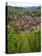 View over the Village of Riquewihr and Vineyards in the Wine Route Area, Alsace, France, Europe-Yadid Levy-Premier Image Canvas