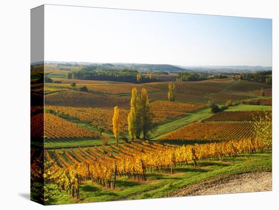 View Over the Vineyards in Bergerac, Chateau Belingard, Bergerac, Dordogne, France-Per Karlsson-Premier Image Canvas