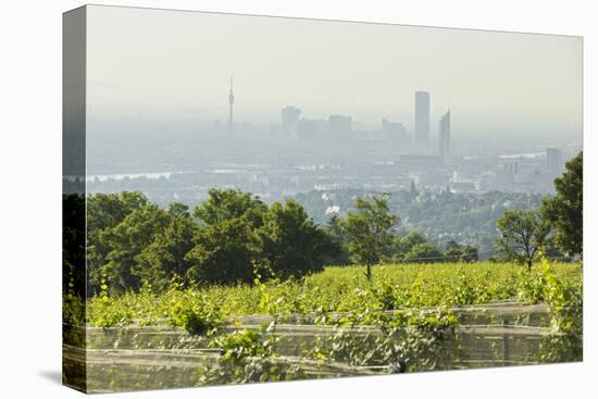 View over Vienna of the Cobenzl, Vineyard Cobenzl, Vienna, Austria-Rainer Mirau-Premier Image Canvas