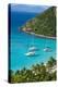 View over White Bay, Jost Van Dyke, British Virgin Islands, West Indies, Caribbean, Central America-Michael Runkel-Premier Image Canvas