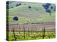 View Overlooking the Viansa Winery, Sonoma Valley, California, USA-Julie Eggers-Premier Image Canvas
