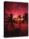 View Palm Trees on Beach, Big Islands, Kona, Hawaii, USA-Stuart Westmorland-Premier Image Canvas