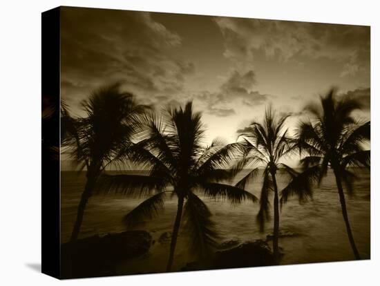 View Palm Trees on Beach, Big Islands, Kona, Hawaii, USA-Stuart Westmorland-Premier Image Canvas