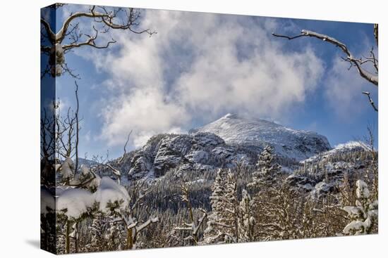 View to a mountain top in the Rocky Mountains in Colorado-Michael Scheufler-Premier Image Canvas