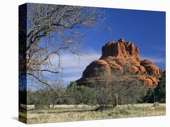 View to Bell Rock, Arizona, USA-Ruth Tomlinson-Premier Image Canvas