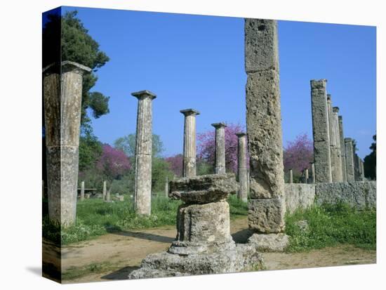 View Towards the Palaestra, Archaeological Site, Olympia, Unesco World Heritage Site, Greece-Tony Gervis-Premier Image Canvas