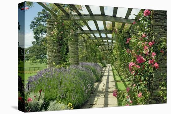 View Westwards Along the Pergola, Designed in C.1904-10-null-Premier Image Canvas