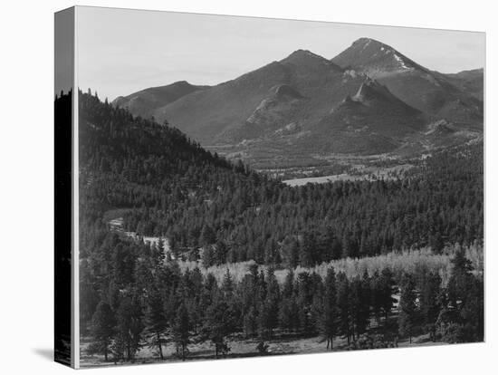 View With Trees In Foreground Barren Mountains In Bkgd "In Rocky Mountain NP" Colorado 1933-1942-Ansel Adams-Stretched Canvas