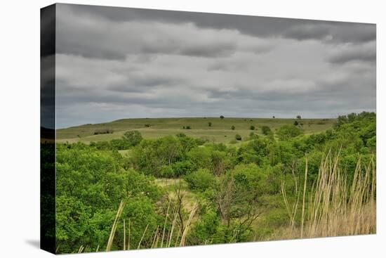 Viewing across some of the Flint Hills in Kansas-Michael Scheufler-Premier Image Canvas