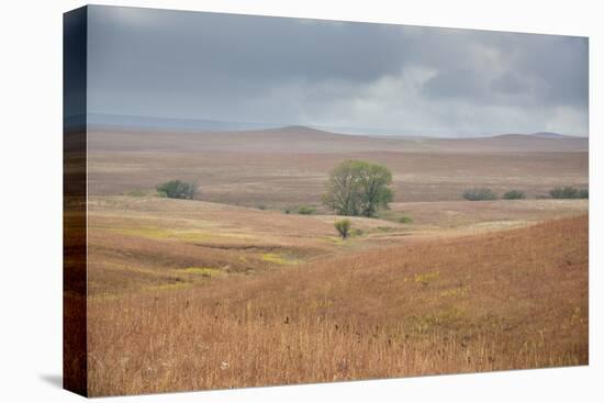 Viewing across some of the hills of Kansas-Michael Scheufler-Premier Image Canvas