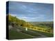 Viewpoint on Box Hill, 2012 Olympics Cycling Road Race Venue, View South over Brockham, Near Dorkin-John Miller-Premier Image Canvas