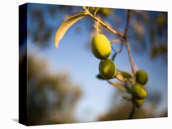 Views of Andalusia, Spain-Felipe Rodriguez-Premier Image Canvas