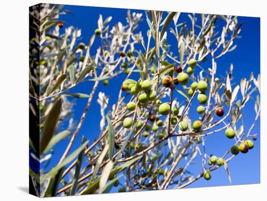 Views of Andalusia, Spain-Felipe Rodriguez-Premier Image Canvas