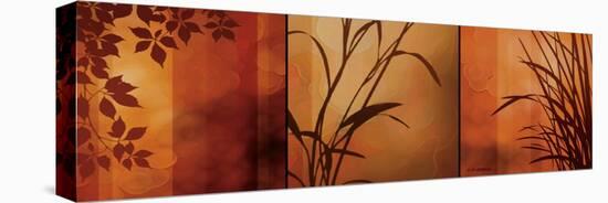 Views of Nature II-Edward Aparicio-Stretched Canvas