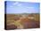 Views over Caradoc, Lawley and the Wrekin from the Long Mynd, Church Stretton Hills, Shropshire, En-Peter Barritt-Premier Image Canvas