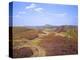 Views over Caradoc, Lawley and the Wrekin from the Long Mynd, Church Stretton Hills, Shropshire, En-Peter Barritt-Premier Image Canvas