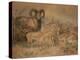 Vigne's Wild Sheep, 1858-Joseph Wolf-Premier Image Canvas