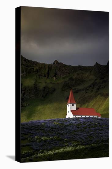 Vik Church and Lupine Flowers, South Region, Iceland, Polar Regions-Andrew Sproule-Premier Image Canvas