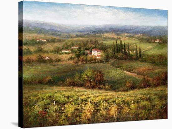 Villa d'Calabria-Hulsey-Stretched Canvas